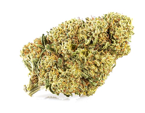Sweet berry CBD buds