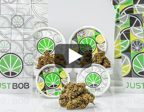 Sweet_Berry_Video