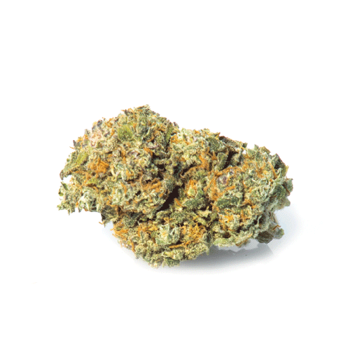 california-haze-cbd-flowers-cannabis california-haze-cbd-flowers-cannabis