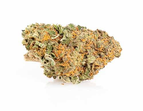 Bud of California Haze CBD weed