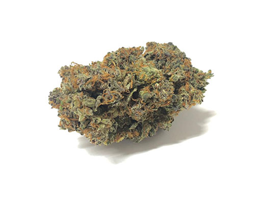 california-haze-weed-cannabis-sativa california-haze-weed-cannabis-sativa