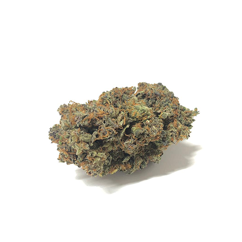 california-haze-weed-cannabis-sativa california-haze-weed-cannabis-sativa
