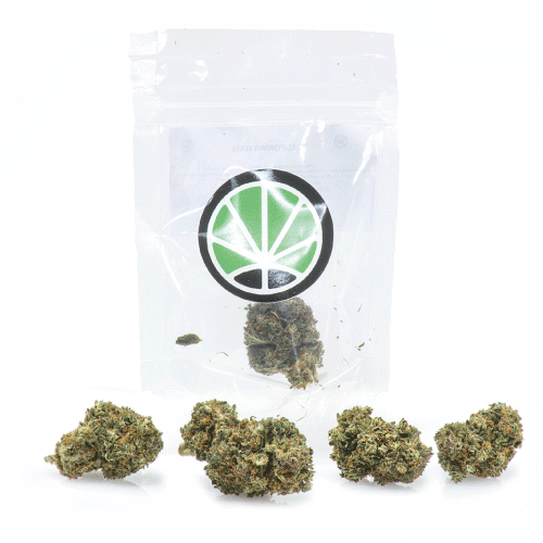 california-haze-weed-flowers-marijuana-cbd california-haze-weed-flowers-marijuana-cbd