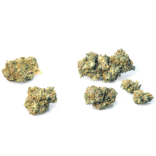 california-haze-weed-marijuana-flowers california-haze-weed-marijuana-flowers