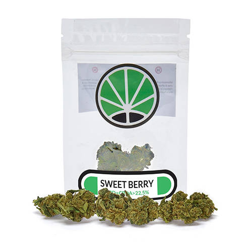 sweetberry-weed-cbd-flower sweetberry-weed-cbd-flower