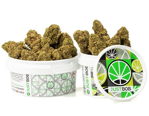 tin-with-flowers-of-california-haze-cannabis