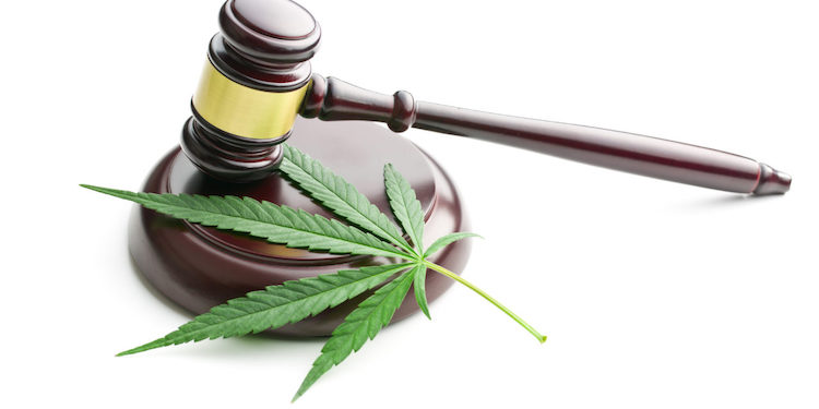 The Legal Status of CBD