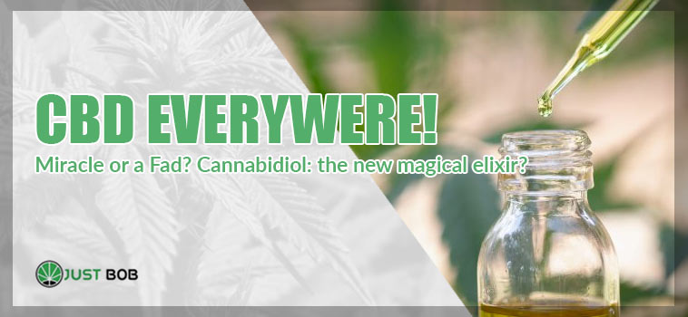 CBD Everywhere, a Miracle or a Fad?