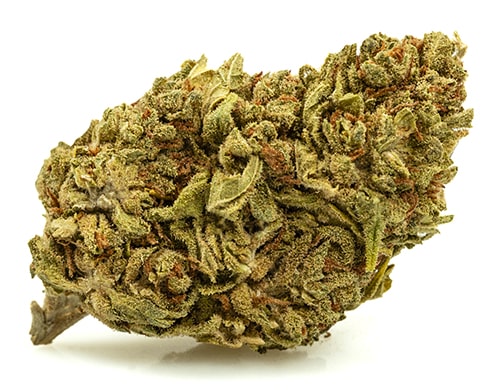 DO SI DOS-small-cbd-buds