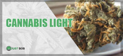 Cbd flower strain