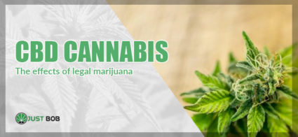 legal marijuana effects