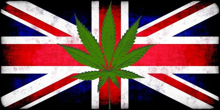 weed-in-uk weed in united kindom