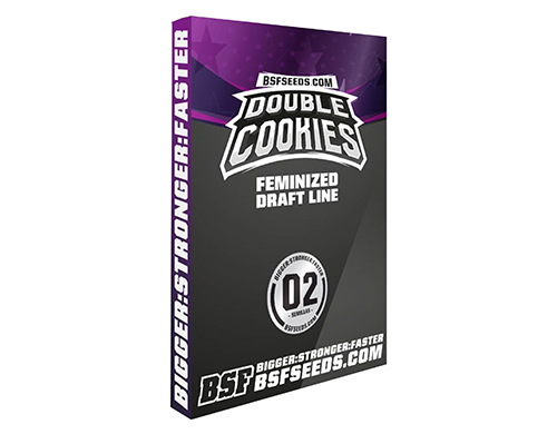 double-cookies-feminized-seeds-uk double-cookies-feminized-seeds-uk