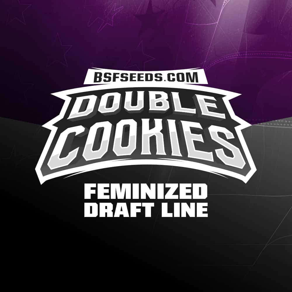 double-cookies-marijuana-seeds-feminized double-cookies-marijuana-seeds-feminized