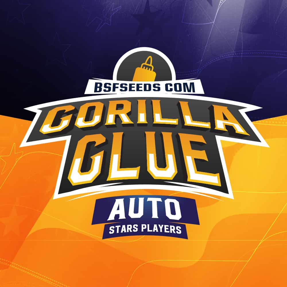 gorilla-glue-buy-cannabis-seeds-autoflower-uk gorilla-glue-buy-cannabis-seeds-autoflower-uk
