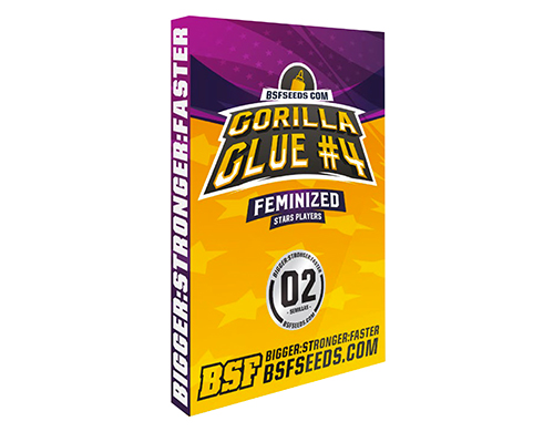 gorilla-glue-weed-seeds-uk gorilla-glue-weed-seeds-uk