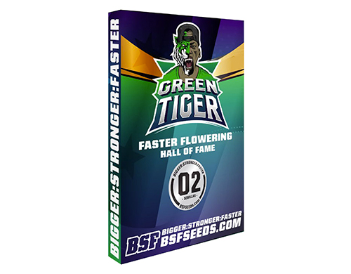 green-tiger-faster-flowering-buy-cannabis-seeds-uk green-tiger-faster-flowering-buy-cannabis-seeds-uk