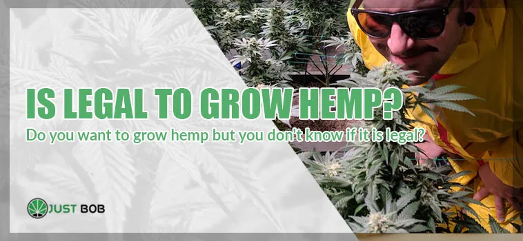 grow hemp is legal is legal grow hemp?