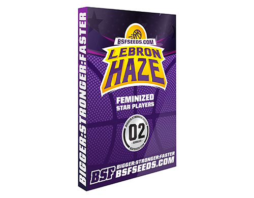 lebron-haze-weed-seeds-uk-1 lebron-haze-weed-seeds-uk
