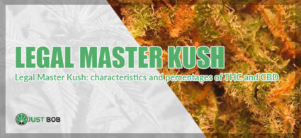 legal master kush light 2