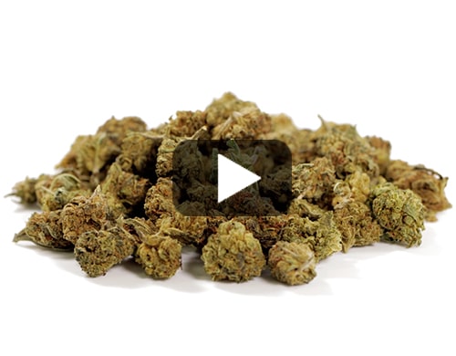 small-buds-mix-cbd-weeds
