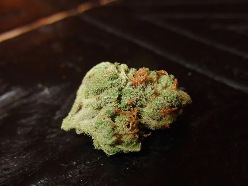 legal-hemp-lemon-haze legal weed: the lemon haze