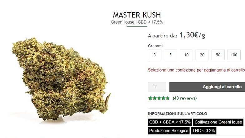 The Master Kush in 2023