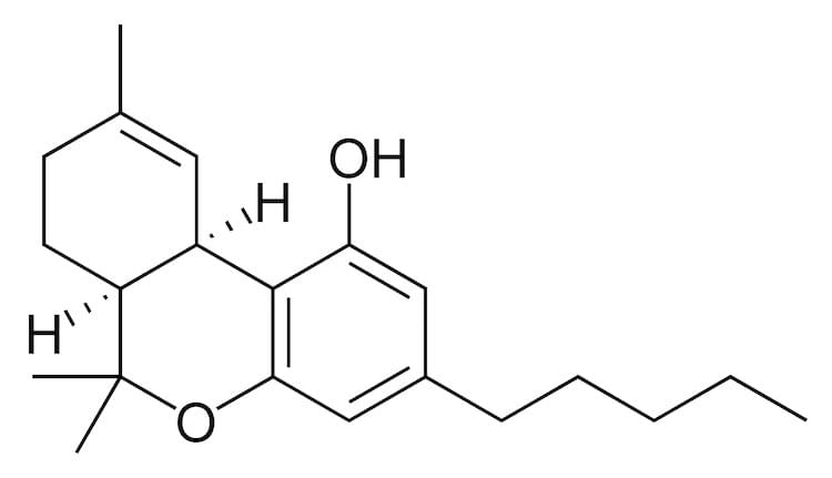 The thc and Cbd formula