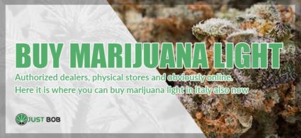 buy marijuana light in italy