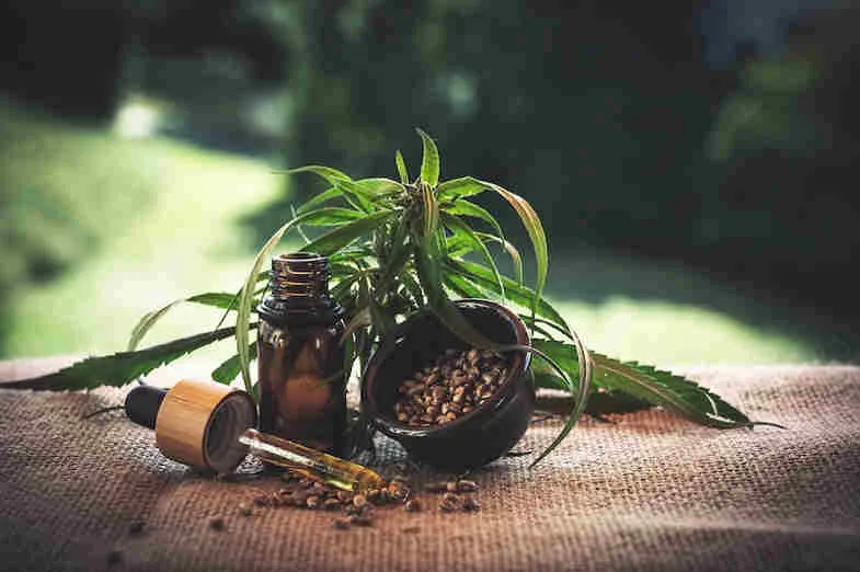 Cbd Oil Cannabis Cbd Marijuana Cannabidio Hemp Oil **CBD oil and its possible side effects**