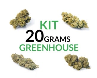 kit 20 greenhouse - SHOP-min Kit 20 Grams Greenhouse justbob.shop