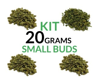 kit 20 small - SHOP-min Kit 20 grams Small Buds justbob.shop
