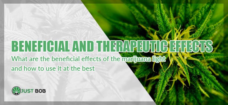 marijuana therapeutic effects cover image