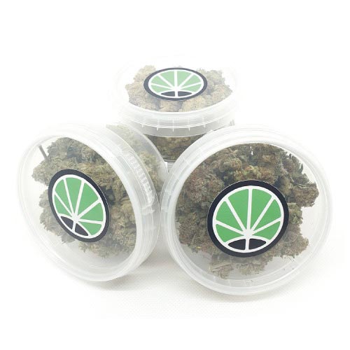 marijuana-shop-christmas marijuana-shop-christmas