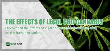 All the effects of legal CBD cannabis