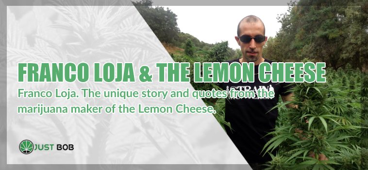 Franco Loja & the Lemon Cheese marijuana light