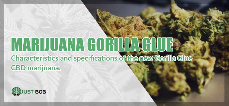 The best Gorilla Glue with CBD < 20%