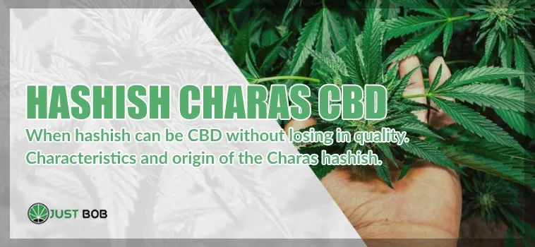 cannabis-light-hashish-charas Charas: a good hashish cbd