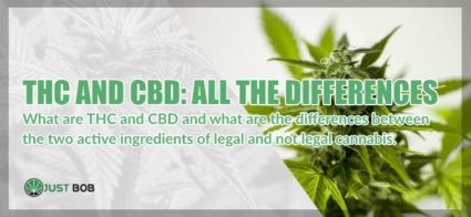 differences between thc and cbd