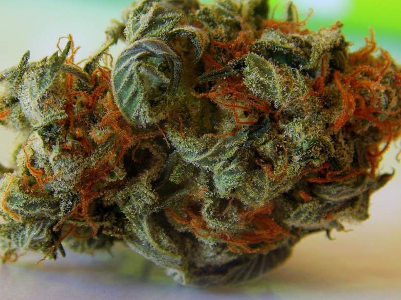 flower legal cannabis cbd effects