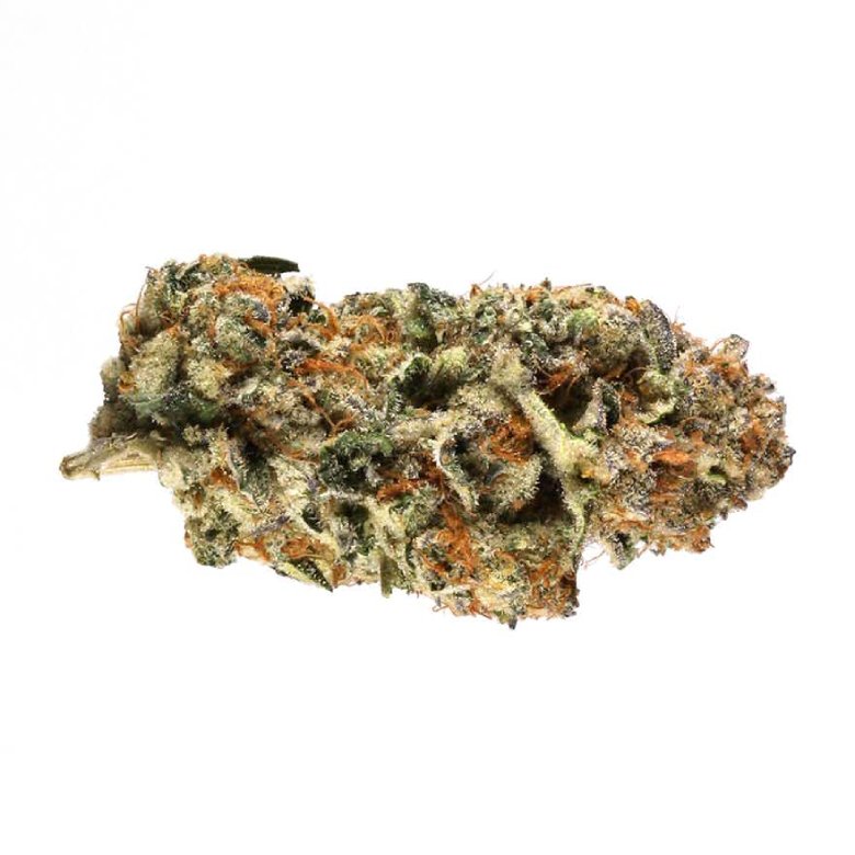 indica dominant hybrid of do si dos marijuana cbd