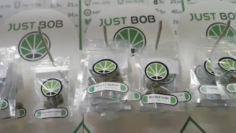 justbob trial kit marijuana cbd