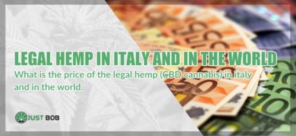 legal hemp in Italy and in the world