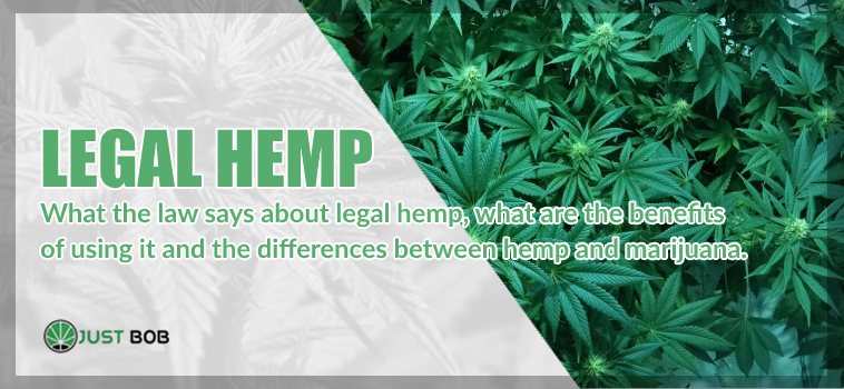 legal-hemp Indicators on Hemp Vs Marijuana - The Difference Between Hemp And ... You Should Know