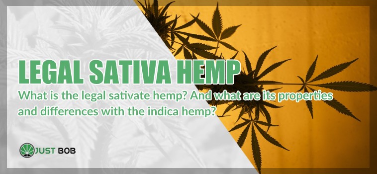 properties and differences between Legal sativa hemp and indica hemp