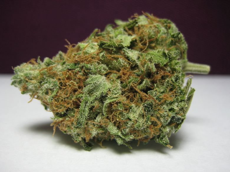 white widow light bud