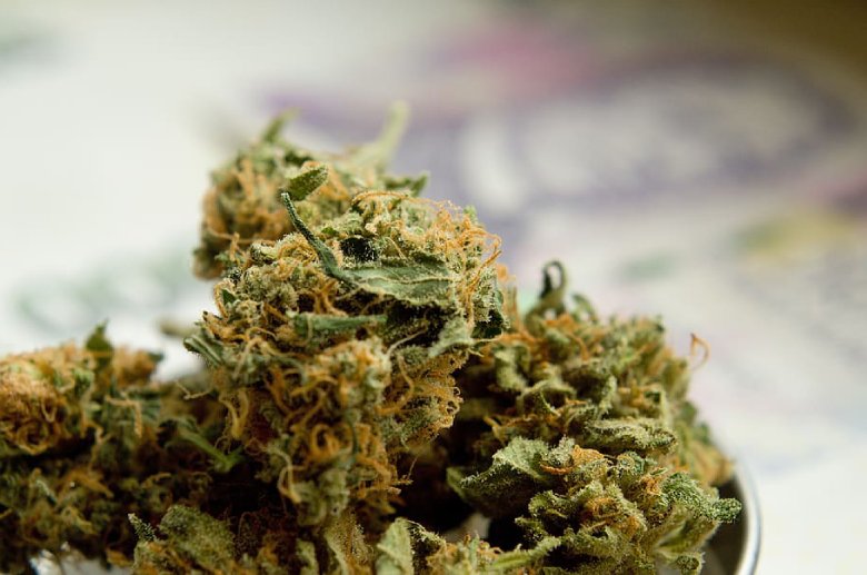 legal cbd marijuana in italy