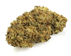 Cannabis cbd outdoor buds mix