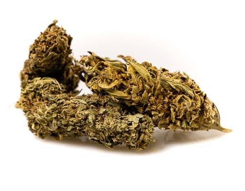 CBD Flower OutDoor