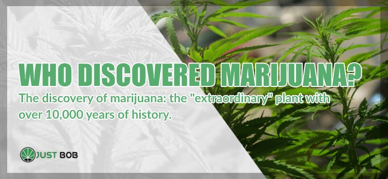 Who Discovered Marijuana light